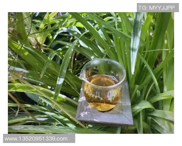 足球明星华丽转身展现魅力正装风采引领时尚潮流 足球明星华丽转身展现魅力正装风采引领时尚潮流