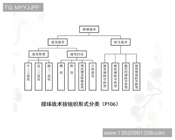 北京排球队的转换体系与战术解析：提升比赛竞争力的关键策略